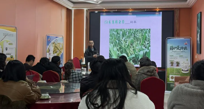 强化服务指导，赋能小麦增产提质