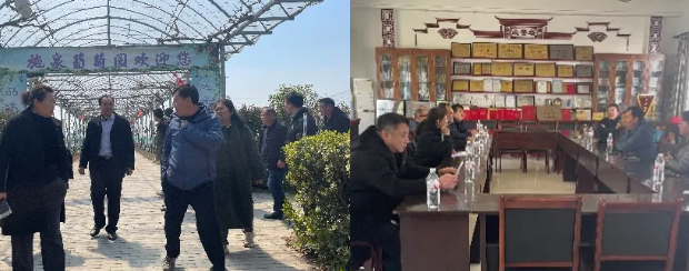 以品质为先 探索葡萄种植新路径